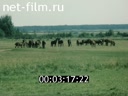 Фильм Мир хижинам. (1989)