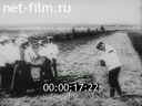 Footage Newsreel of the Imperial Family. (1910 - 1913)