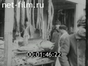 Footage Spring in Petrograd. (1922 - 1923)