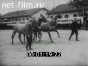 Newsreel Giornale Luce 1942 № 292