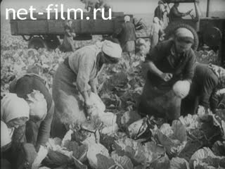 Киножурнал Дойче Вохеншау 1940 № 531