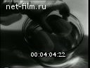 Newsreel Daily News / A Chronicle of the day 1954 № 6