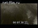 Фильм Питомцы славы.. (2007)