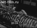 Newsreel Science and technology 1962 № 23