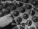 Newsreel Science and technology 1968 № 14