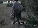 Фильм Наука – лесохозяйственному производству. (1979)