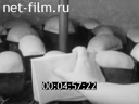 Newsreel Science and technology 1980 № 8