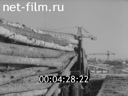 Киножурнал Советская Карелия 1969 № 3