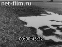 Newsreel Lower Povolzhie 1966 № 23 On a drought