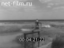 Film Gulls in the steppe.. (1965)