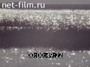 Film Protection of saigas in Kalmykia. (1979)