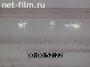 Фильм Охрана сайгаков в Калмыкии. (1979)