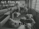 Киножурнал Волжские огни 1988 № 32 Не в коня корм