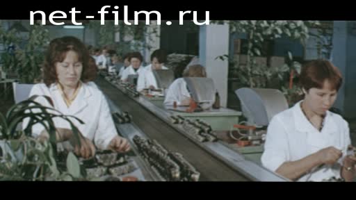 Фильм Праздник земли Марийской. (1980)