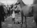 Фильм Ватан. Республика Татарстан. (1995)