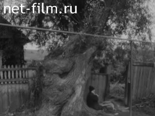Фильм Иман. (2000)