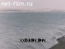 Фильм Острова надежды. (2004)