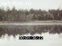 Фильм Сбор и заготовка дикорастущих в тайге. (1982)