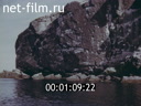 Фильм В краю непуганных птиц. (1994)