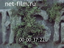 Footage Treasures of Russian national culture. (1986)