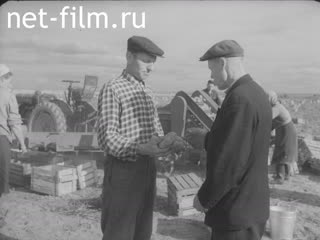 Киножурнал Ленинградская кинохроника 1961 № 28
