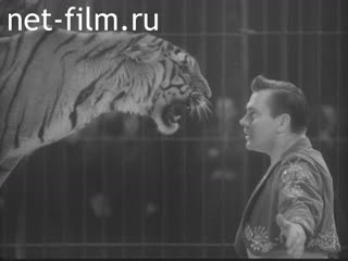 Киножурнал Ленинградская кинохроника 1960 № 36