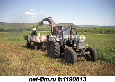 Haymaking in the fields of the Leninogorsk district.