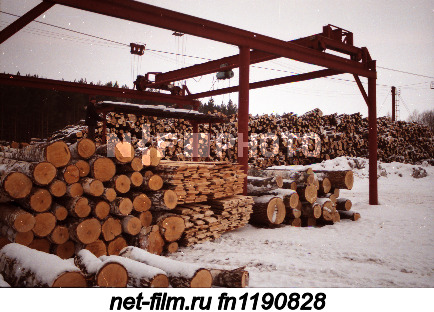 Склад древесины в Мамадышском лесничестве.