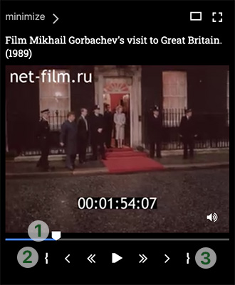 net-film video playback