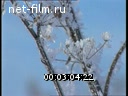 Footage Winter Landscape. (1990 - 1999)