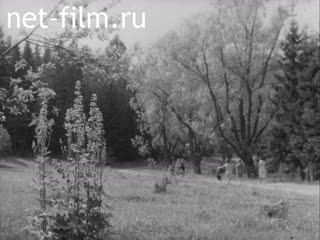 Киножурнал Советская Карелия 1964 № 8