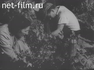 Footage Unknown French Chronicle №27874. (1940)