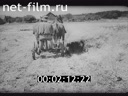 Footage The people, it concerns you!. (1943)