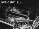 Footage Warsaw in September. (1939)