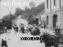 Footage Production of champagne. (1910 - 1919)