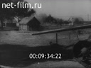 Film Fight for Dubrovka. (1944)