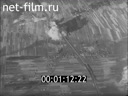 Фильм Действия немецкой авиации на польском фронте. (1939)