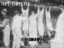 Footage Modern slaughterhouse. (1910 - 1919)