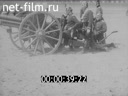 Footage Our Crown Prince - Life Hussar. (1910 - 1919)