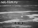 Фильм Тревожная хроника.. (1972)