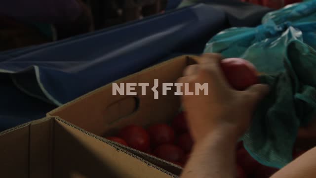 The man rubs the tomatoes and puts them in a box.
Tomatoes, hand, close-up, box, cloth, tomato,...