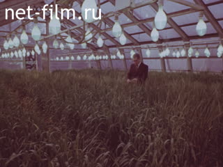 Film Academician Garkavyi and high yields of barley.. (1985)