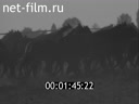 Film Horse in a large diversified economy.. (1986)