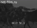 Фильм Лошадь в крупном многоотраслевом хозяйстве.. (1986)