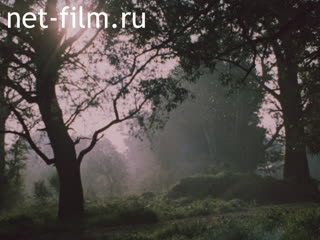 Film Light Optina.. (1991)