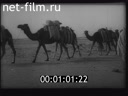 Footage From Niger (Timbuktu) to Haran. (1920 - 1929)