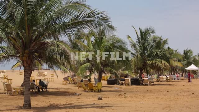 People sit under large palm trees The Africans, palm trees, ocean, relaxation.
Ethnography.
Nature