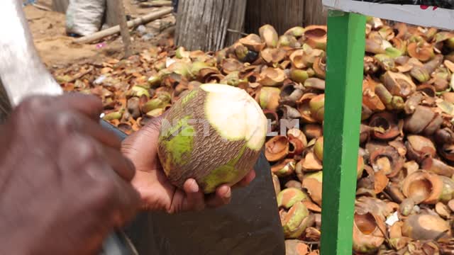 Молодой африканец чистит большим ножом кокосовый орех Африканец, национальная одежда, большой нож,...