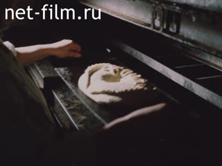 Film № 9 The Russian-Style Welcome.[BAM film chronicle]. (1981)
