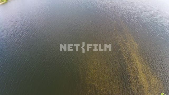 Aerial photography, capterra survey of the lake, the view from the top of the tree and water Aerial...